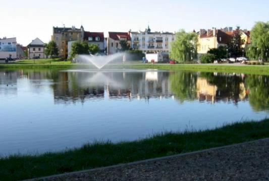 Apartament Green Mragowo-Mazury,Blisko Plaza, Centrum! Wi-Fi! 외부 사진